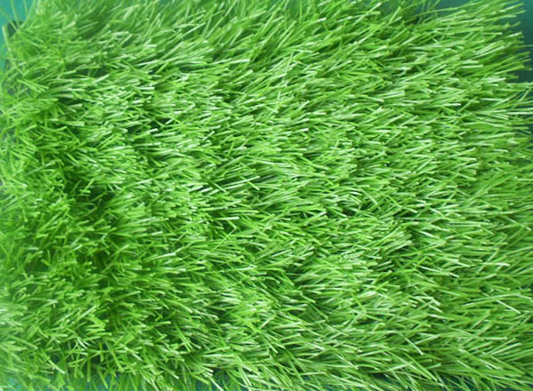 生物環(huán)境對人造草坪的影響