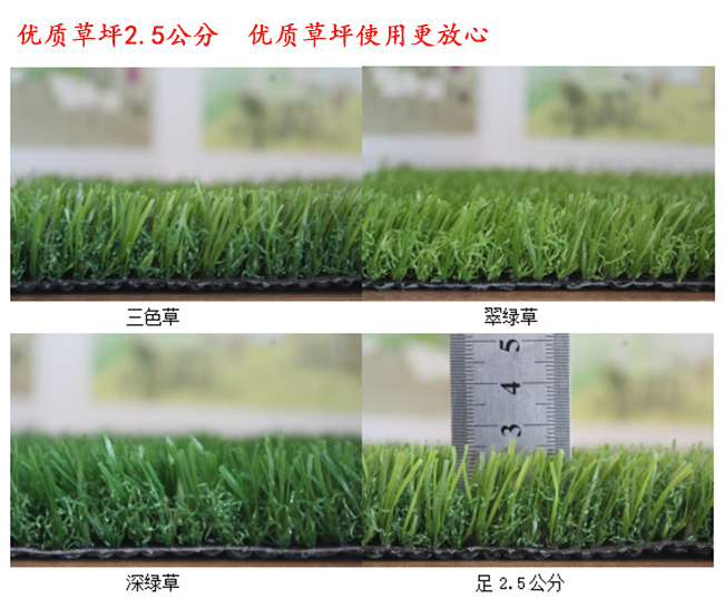 優(yōu)質(zhì)2.5公分高無土草坪多少錢一平方？