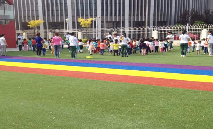 幼兒園塑料草坪每平米價(jià)格多少錢一平？